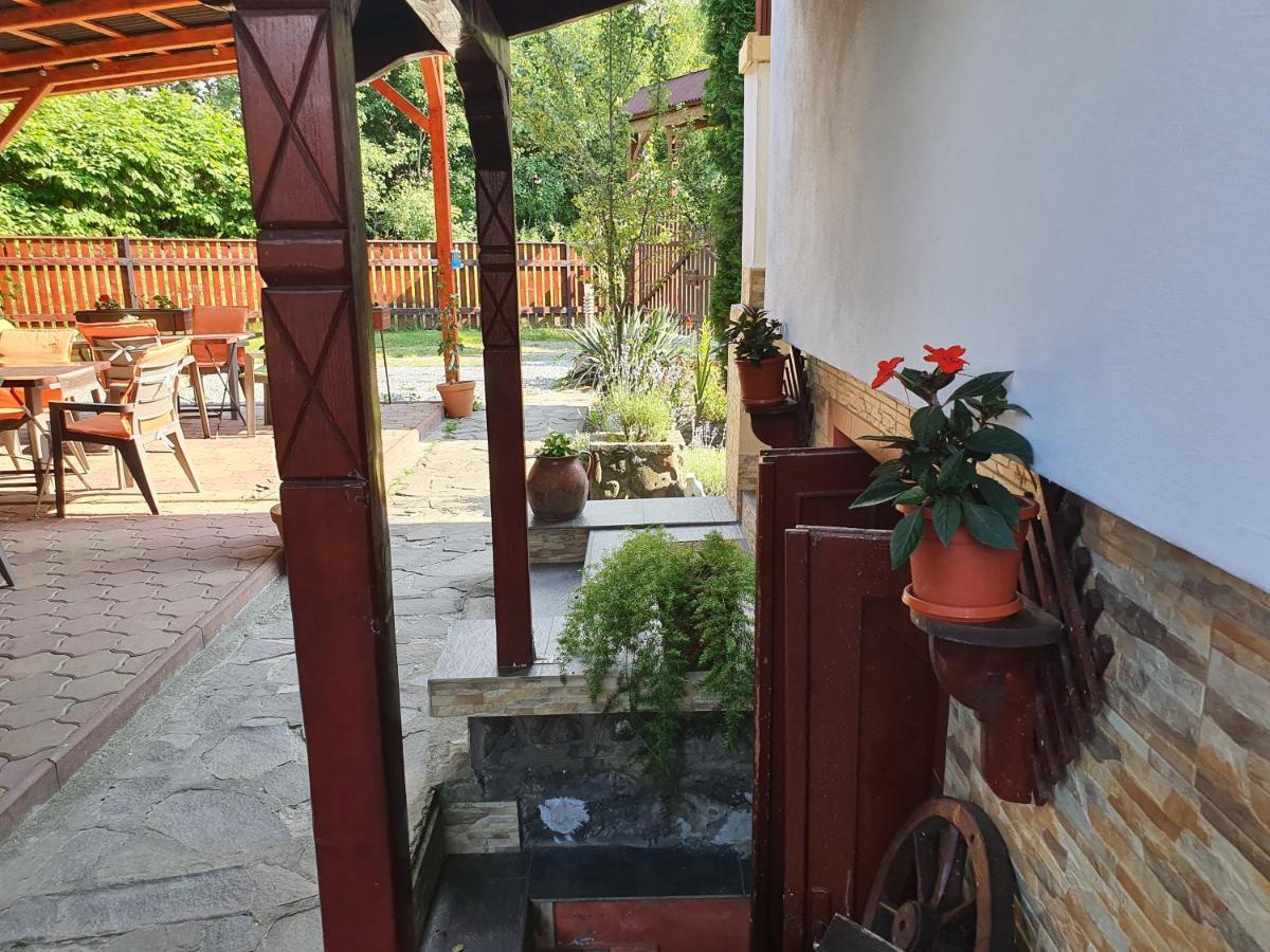 Pension Agnes Viseu de Sus Exterior photo