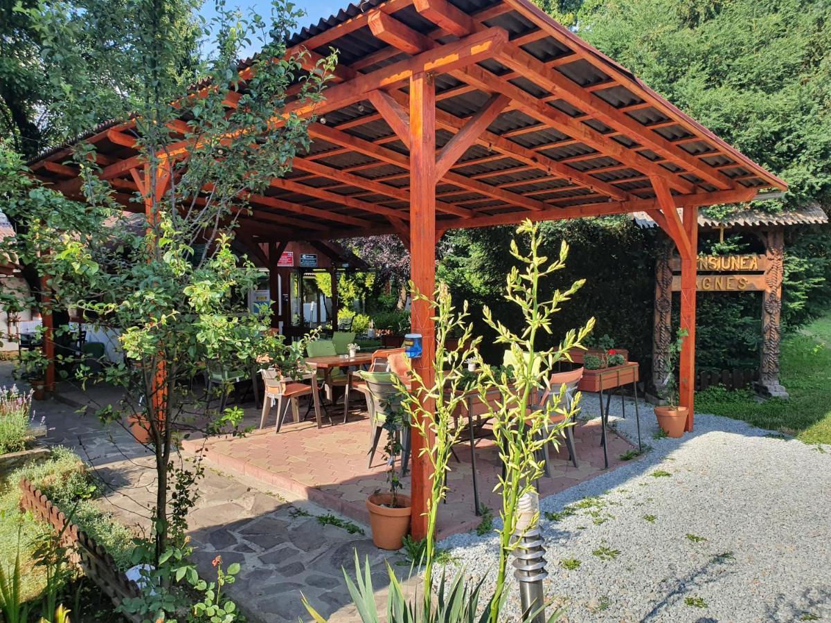 Pension Agnes Viseu de Sus Exterior photo
