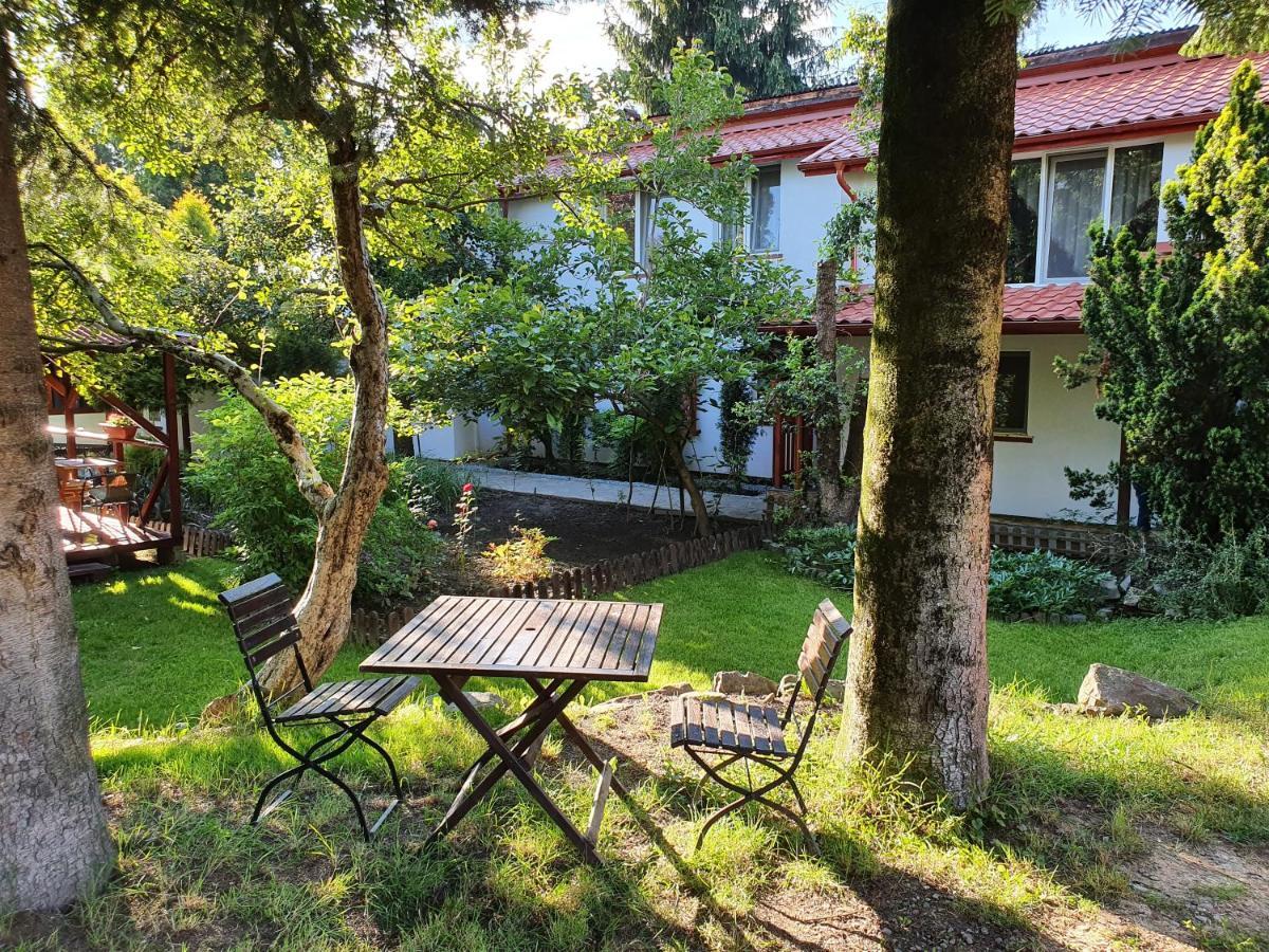 Pension Agnes Viseu de Sus Exterior photo