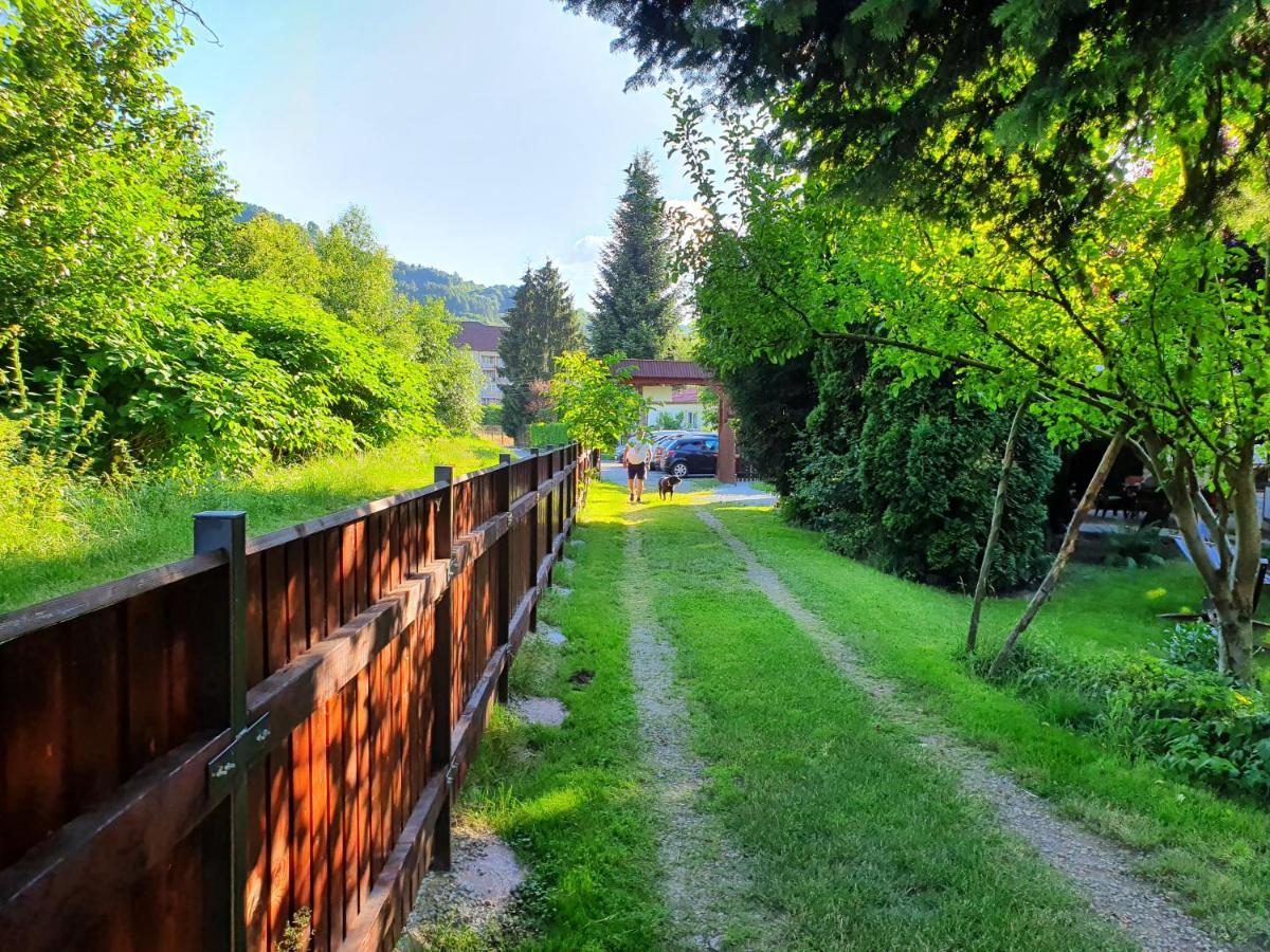 Pension Agnes Viseu de Sus Exterior photo