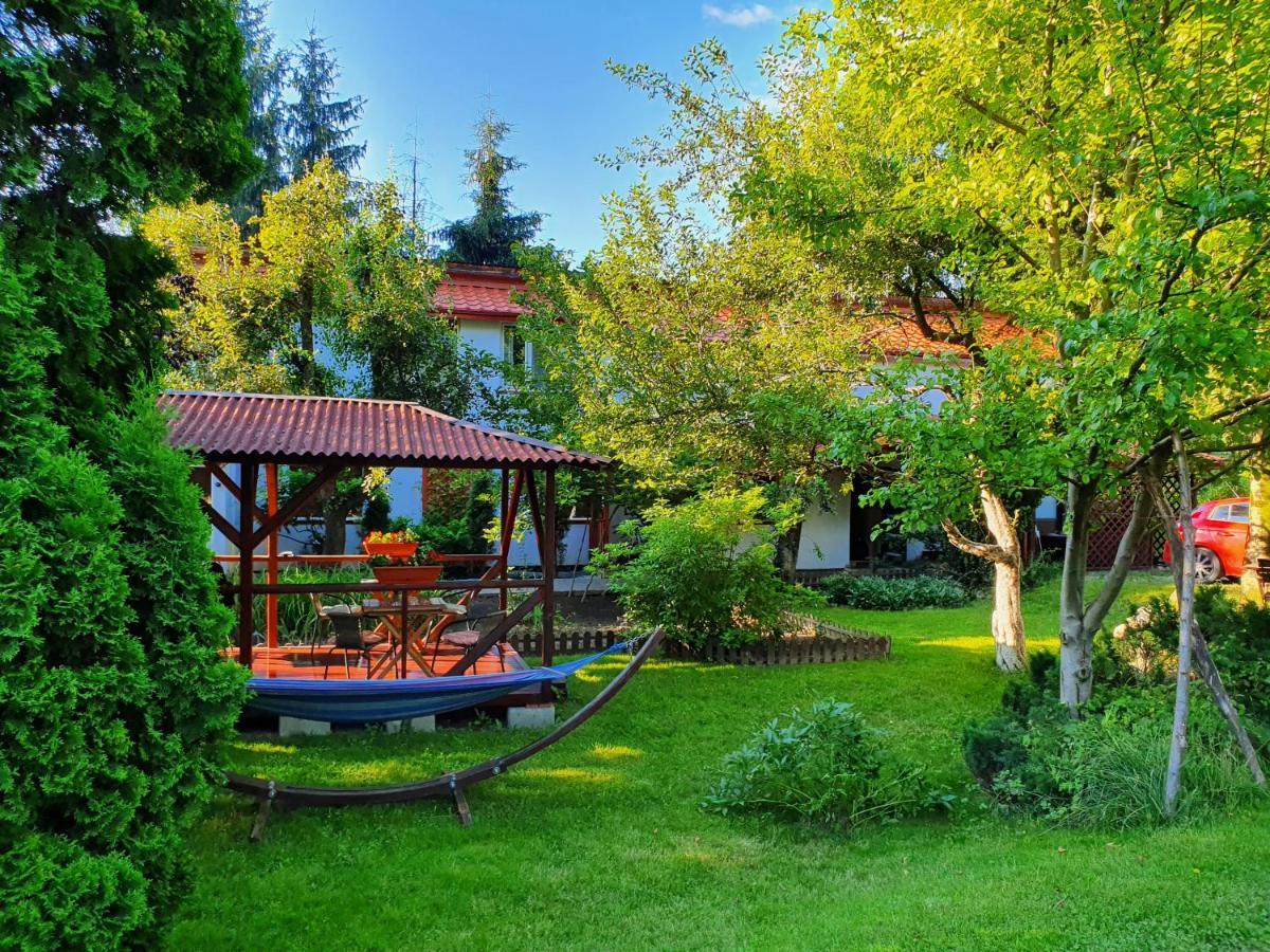 Pension Agnes Viseu de Sus Exterior photo