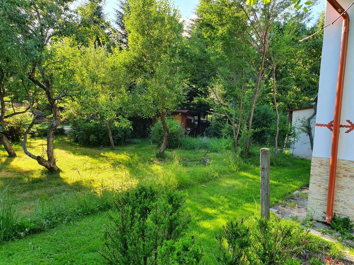 Pension Agnes Viseu de Sus Exterior photo