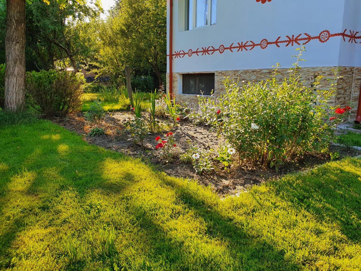 Pension Agnes Viseu de Sus Exterior photo