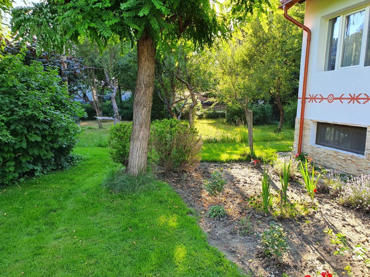 Pension Agnes Viseu de Sus Exterior photo