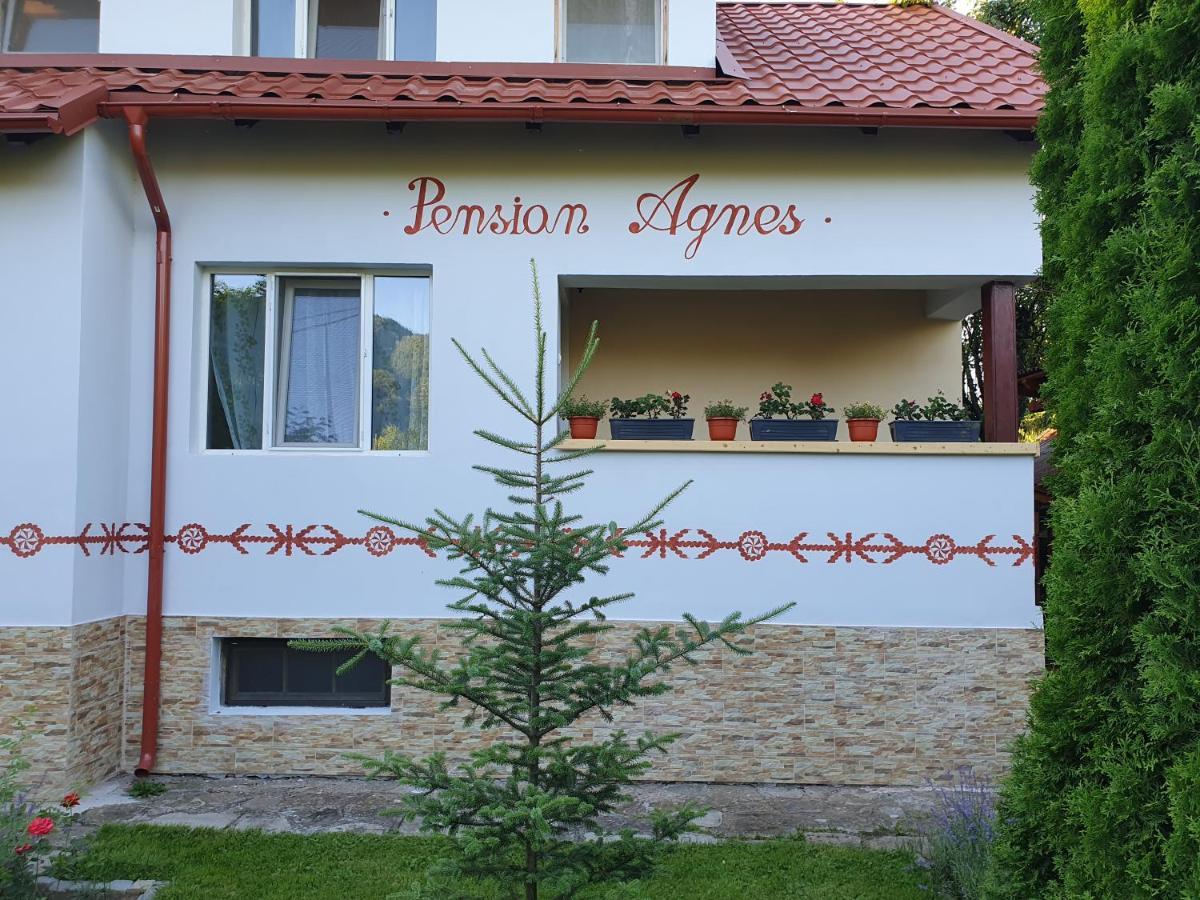 Pension Agnes Viseu de Sus Exterior photo