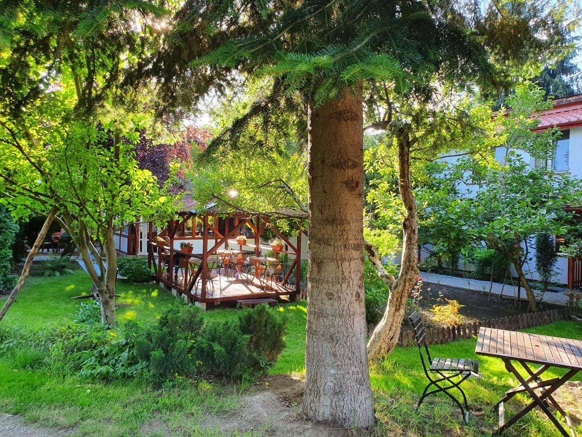 Pension Agnes Viseu de Sus Exterior photo