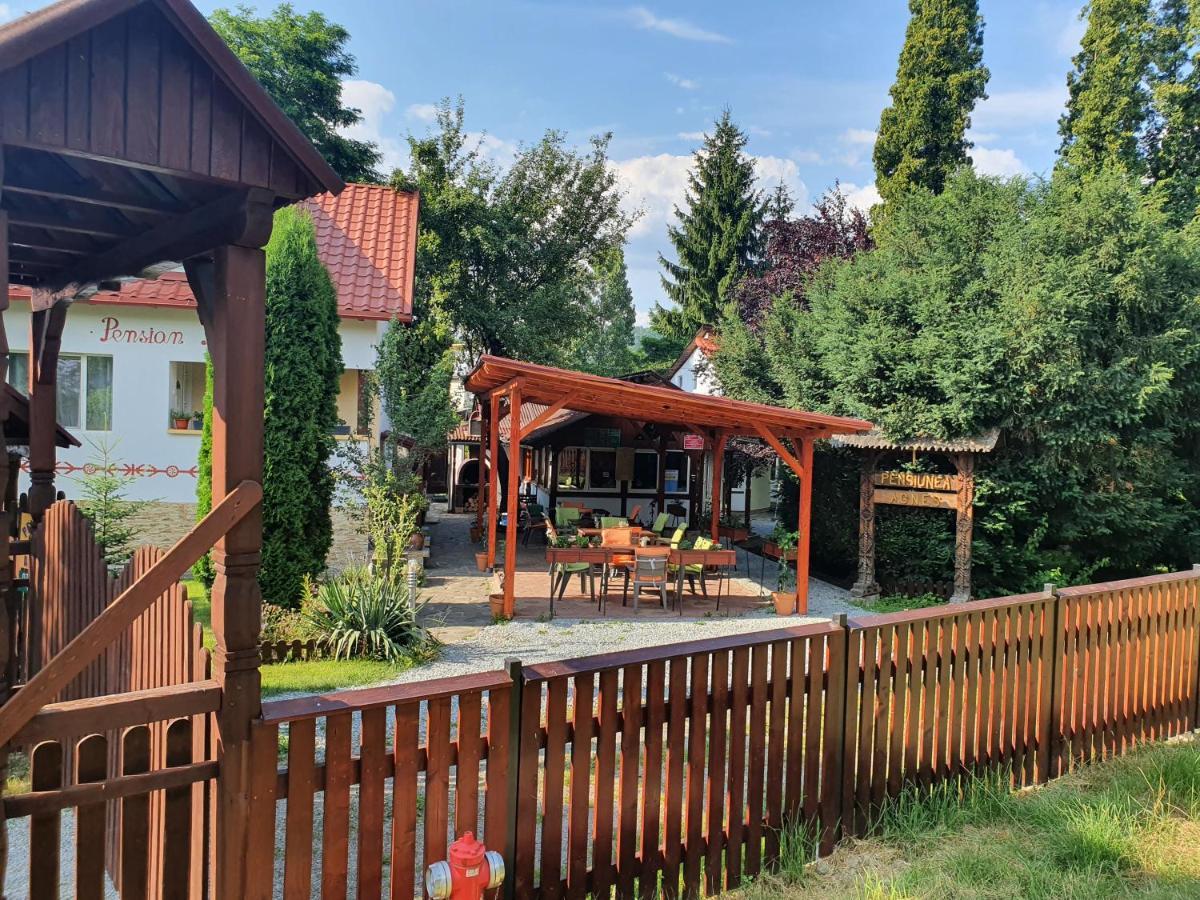 Pension Agnes Viseu de Sus Exterior photo