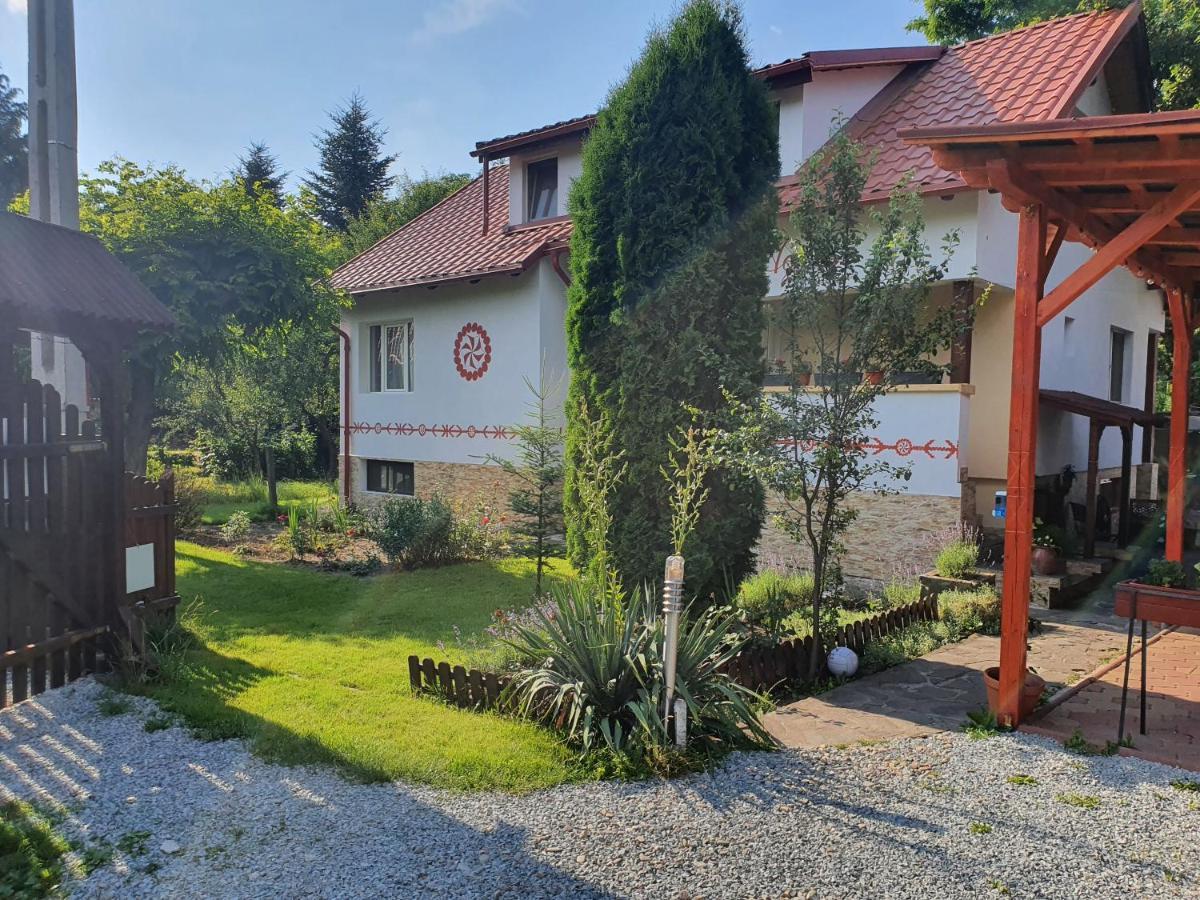 Pension Agnes Viseu de Sus Exterior photo