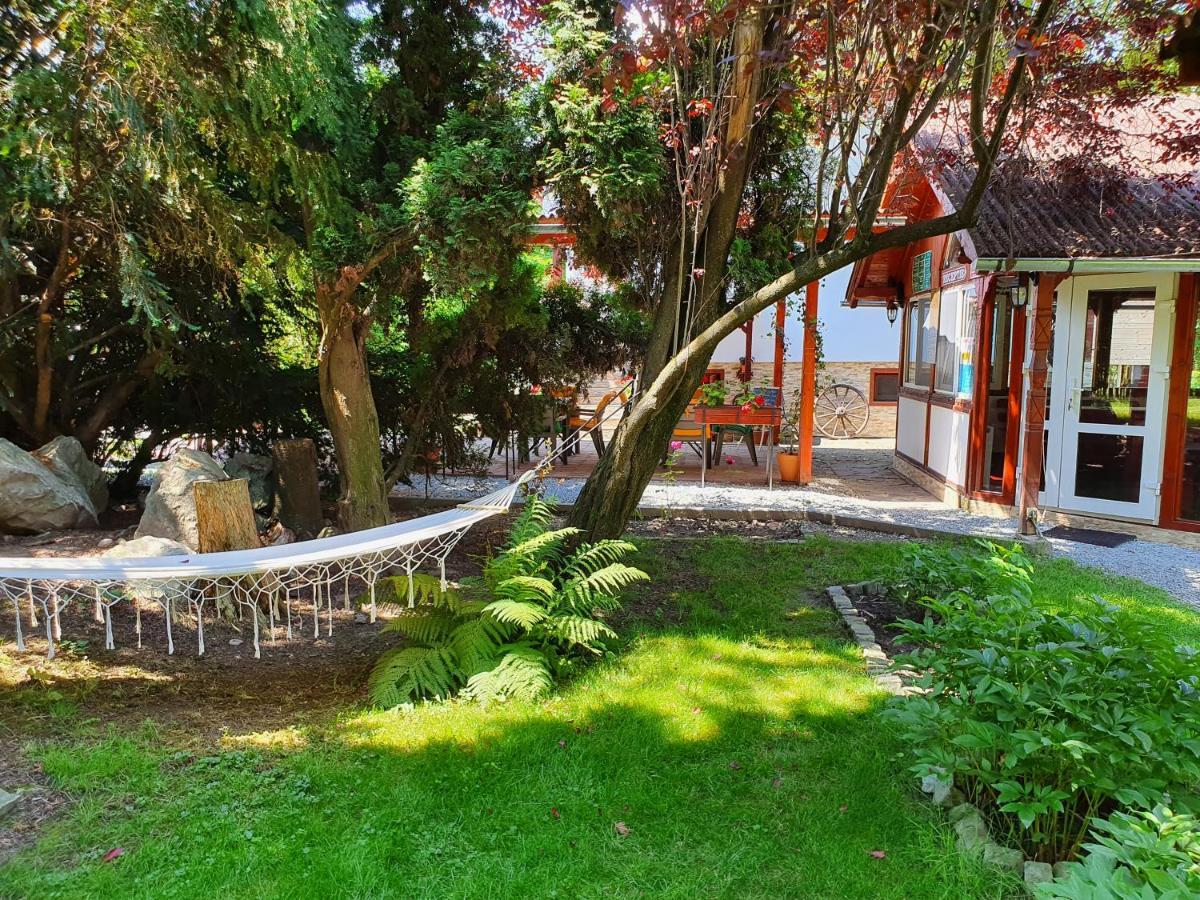 Pension Agnes Viseu de Sus Exterior photo