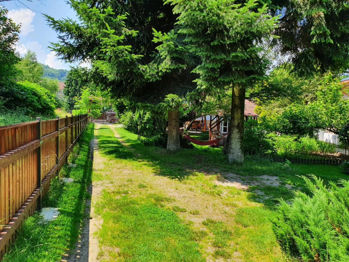 Pension Agnes Viseu de Sus Exterior photo