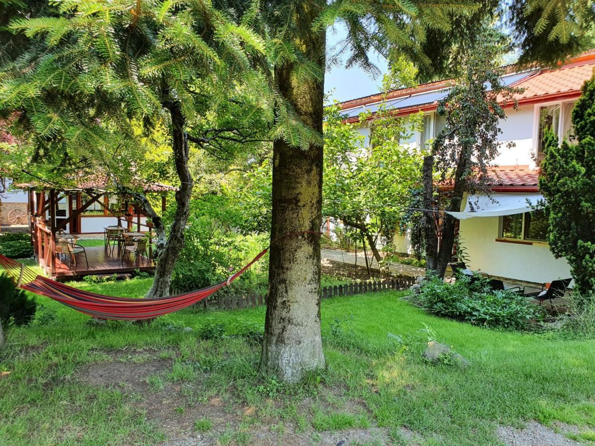 Pension Agnes Viseu de Sus Exterior photo