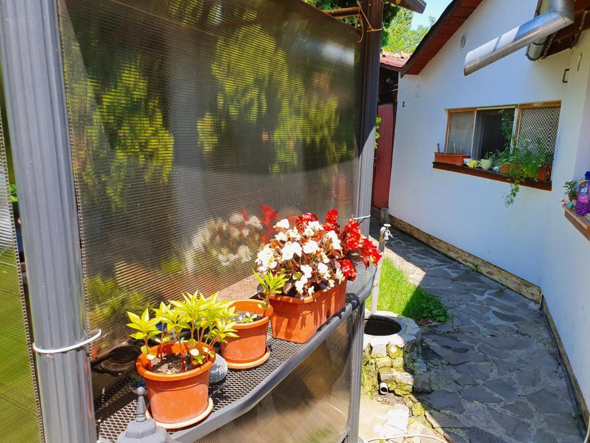 Pension Agnes Viseu de Sus Exterior photo