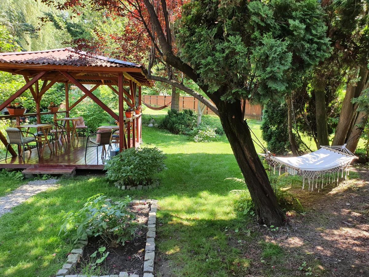 Pension Agnes Viseu de Sus Exterior photo