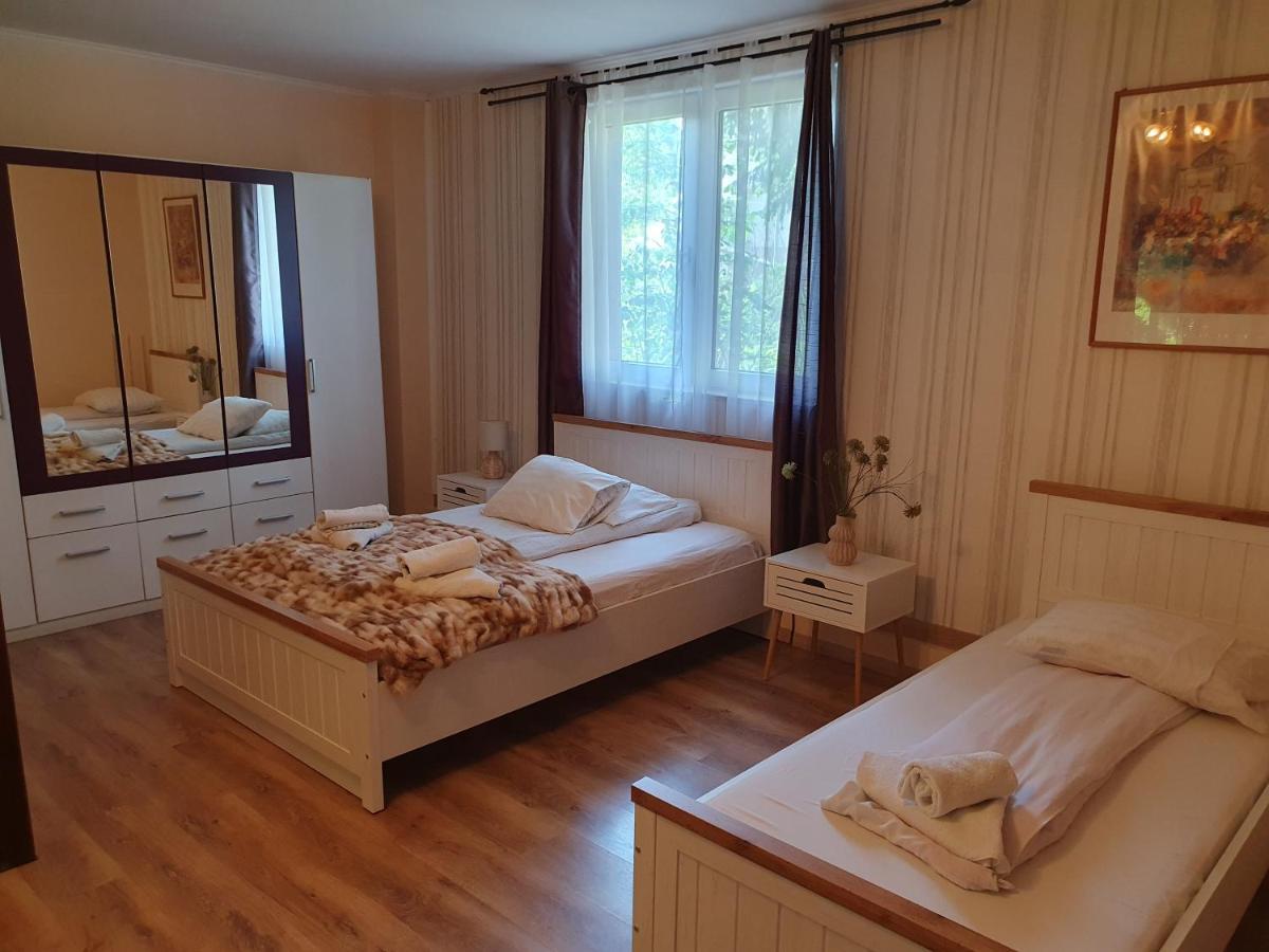 Pension Agnes Viseu de Sus Exterior photo