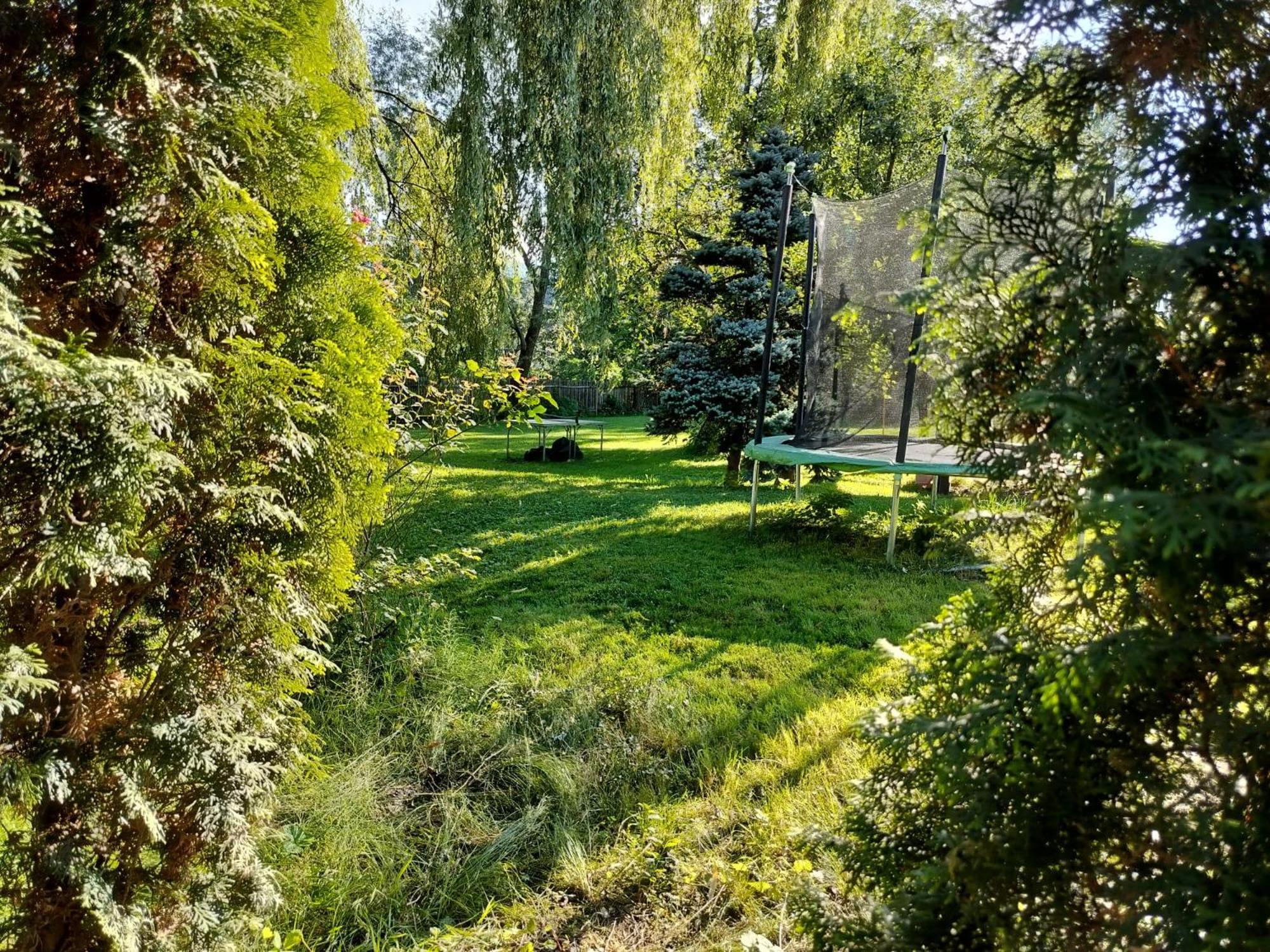 Pension Agnes Viseu de Sus Exterior photo