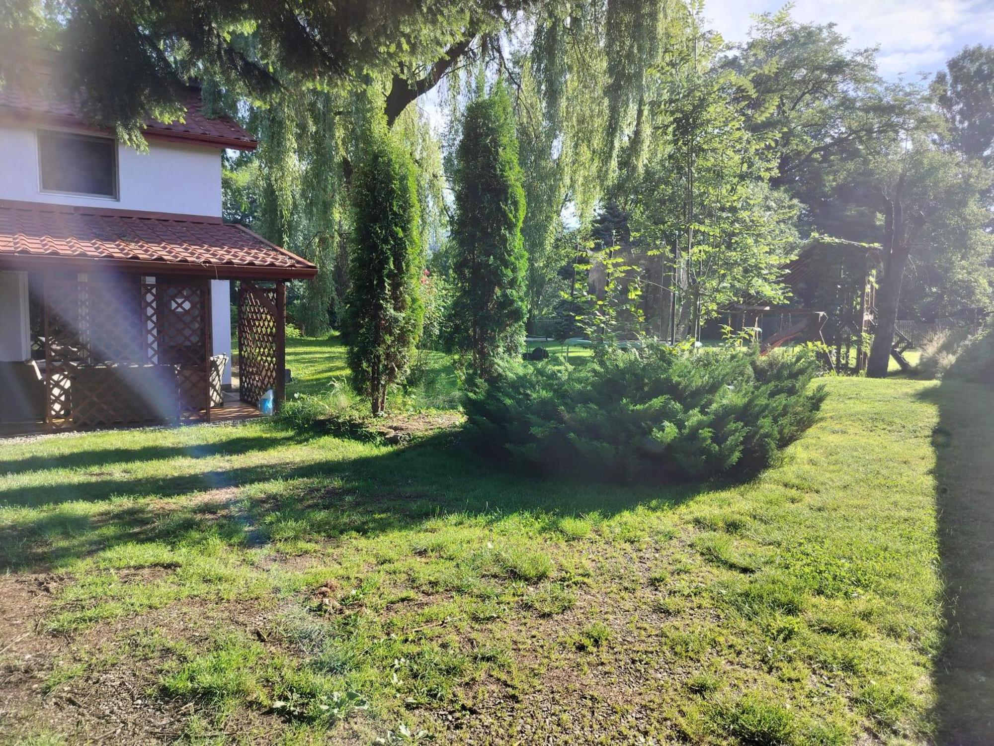 Pension Agnes Viseu de Sus Exterior photo