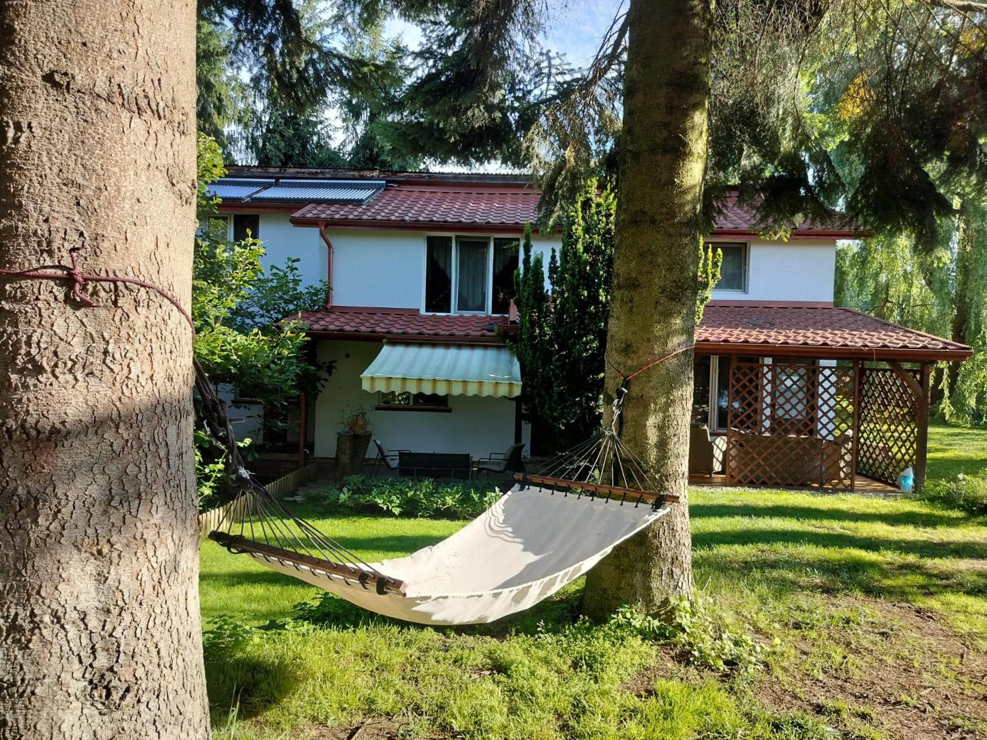 Pension Agnes Viseu de Sus Exterior photo