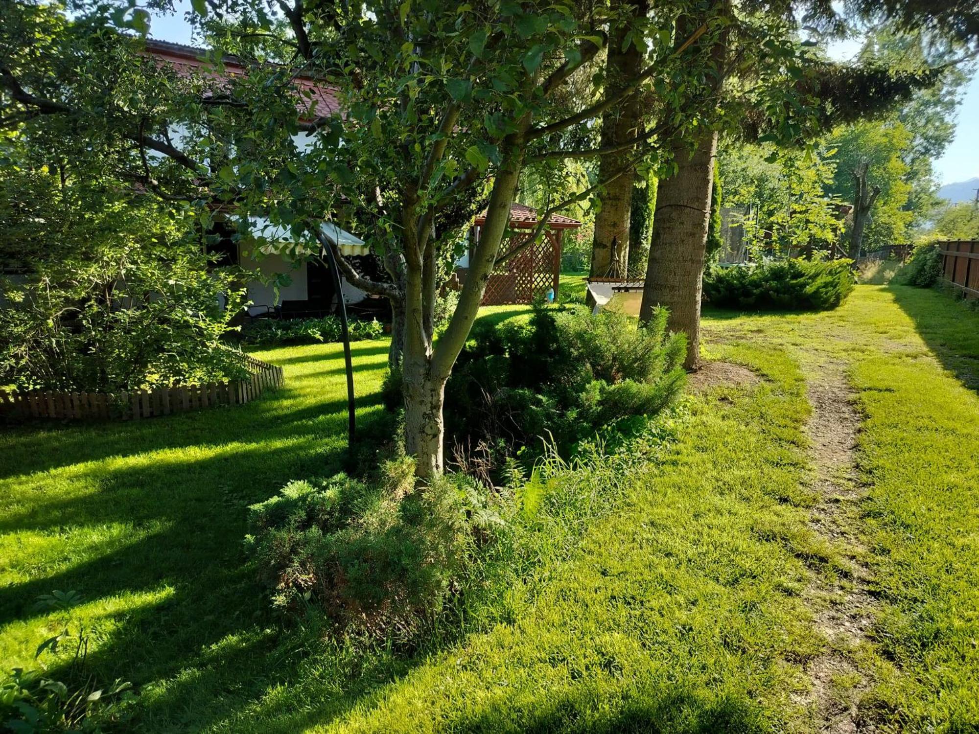 Pension Agnes Viseu de Sus Exterior photo
